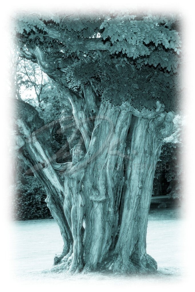 NatureArt-AKAZIE_9949e2 | Eingefärbter Baum mit Frau | #007 | Modell: Tatjana Heinz | Foto: Andreas P. - Realisiert mit Pictrs.com
