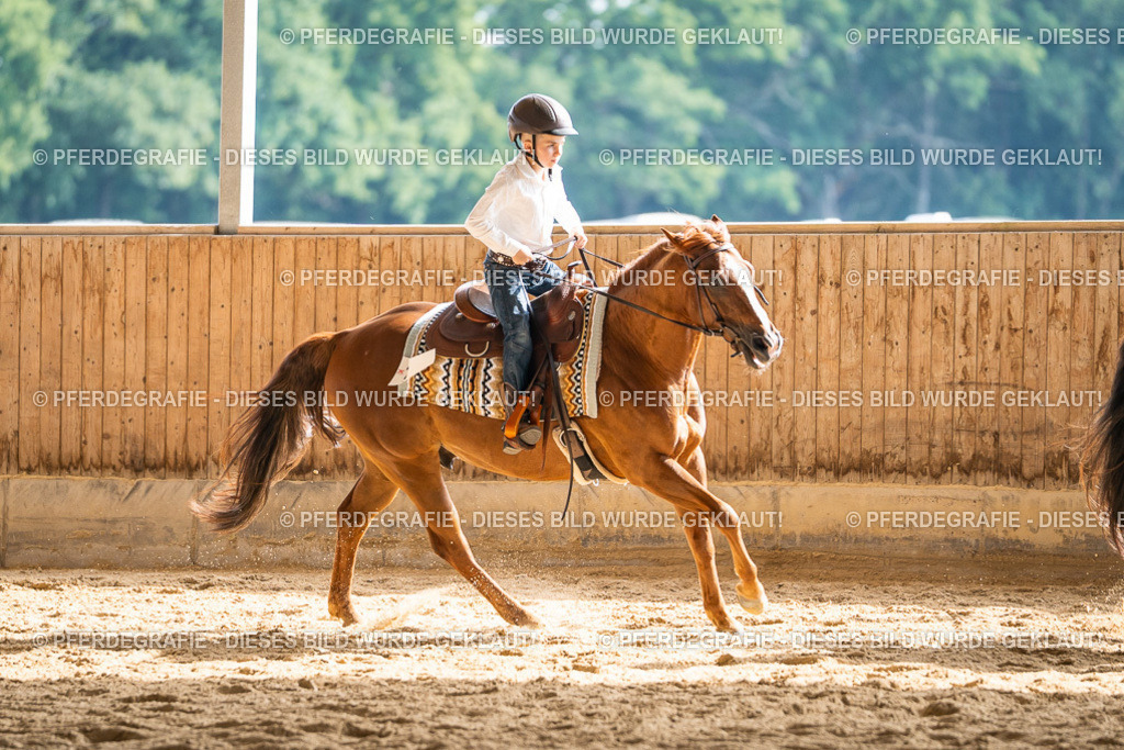 DSC08550 | Pferdegrafie