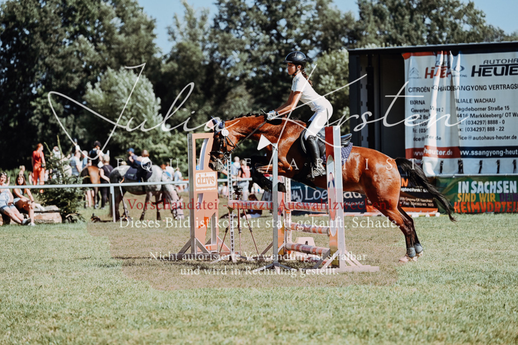 DSC_6693 | Pferde- und Turnierfotografie in Westsachsen. Pferdeportraits, Auftragszeichnungen und intuitive Kunst.