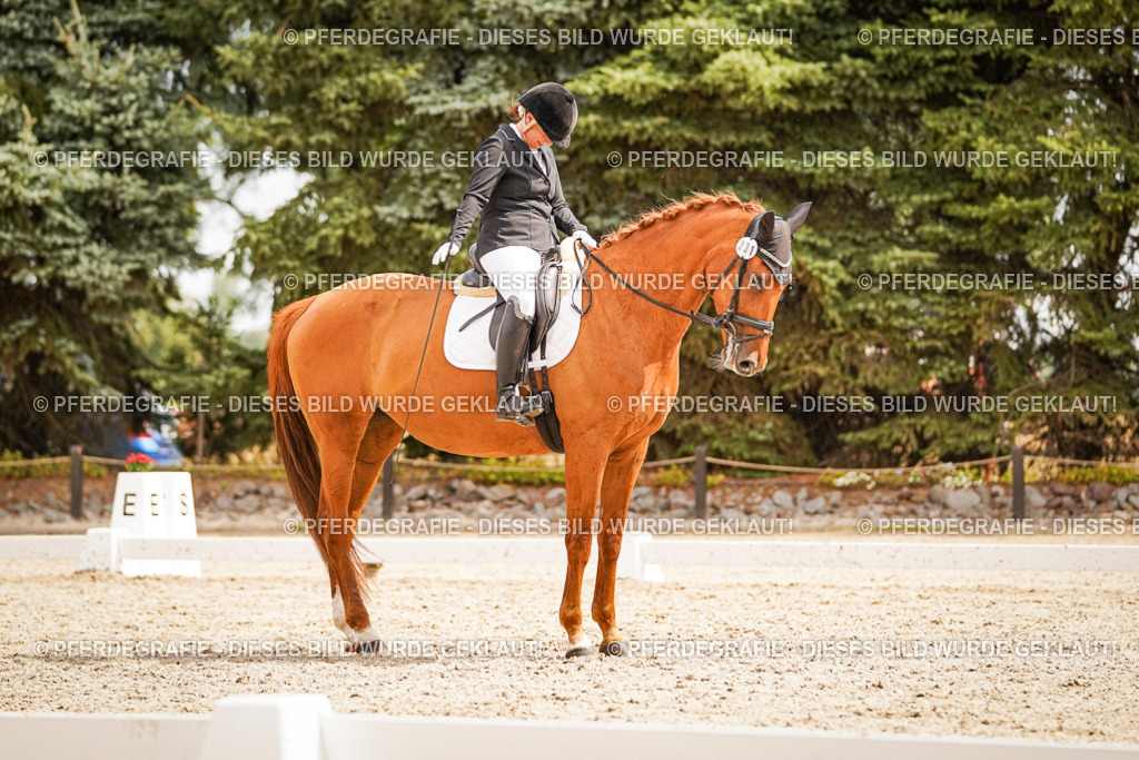 DSC01874 | Pferdegrafie