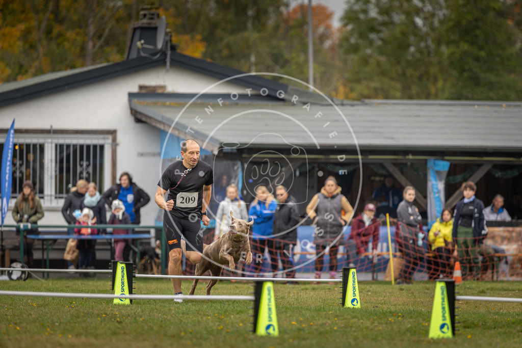 Pfotenfotografie_DV3A1847 | Hundefotografie, Tierfotograf, Pfotenfotografie, Fotoshooting Hund, Hunde Portrait, Hundesport, Hundeportraits, Heideshooting, Hunde, Sportfotograf, Hundefotograf, Turnierhundsport, THS,  - Realisiert mit Pictrs.com