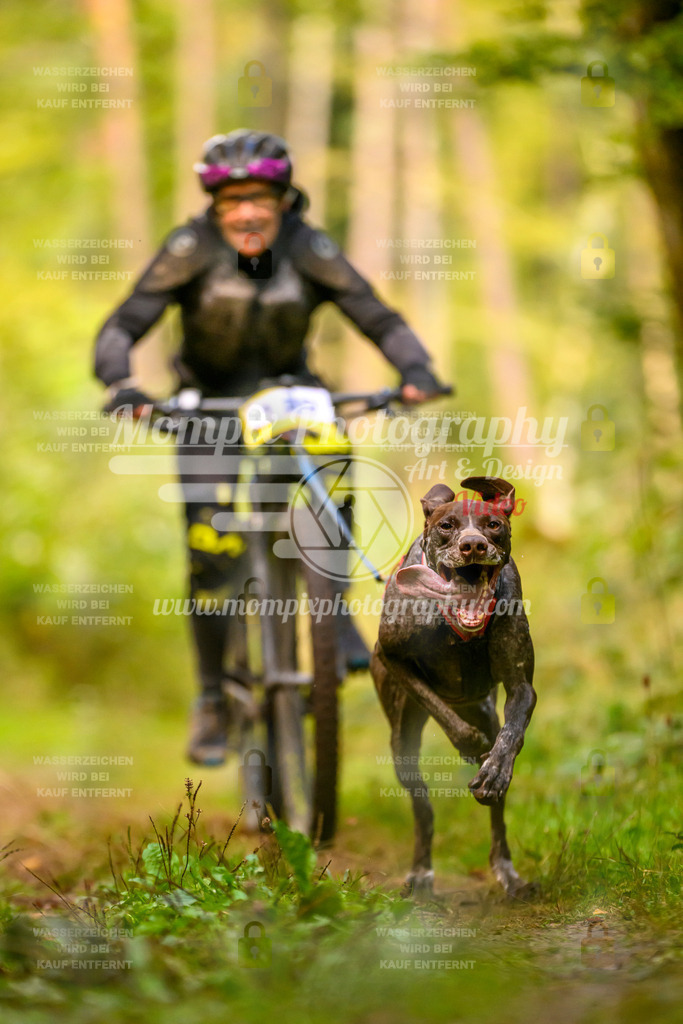 MompixPhotography_Yens2025_B2-35 | PayLife