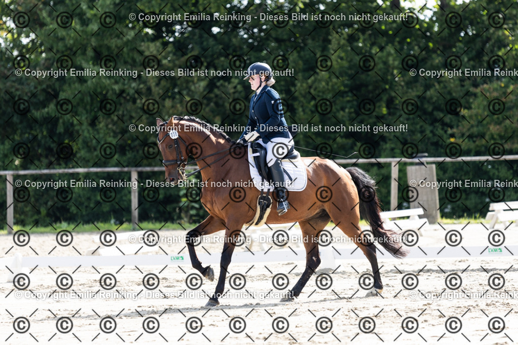 CL5A5670 | Emilia Reinking Fotografie - Realisiert mit Pictrs.com