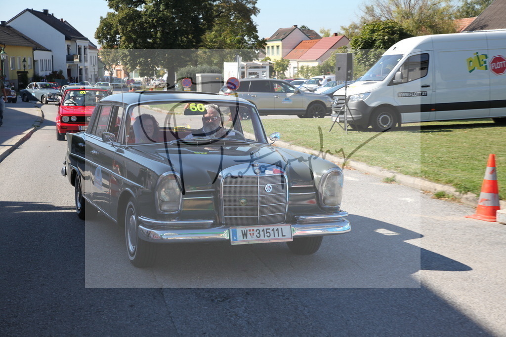 IMG_4949 | Gerhard Witt