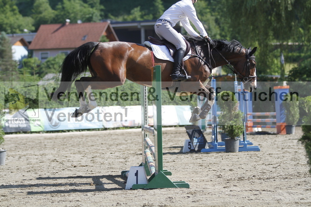 _MG_8446 | equestrian-live-com