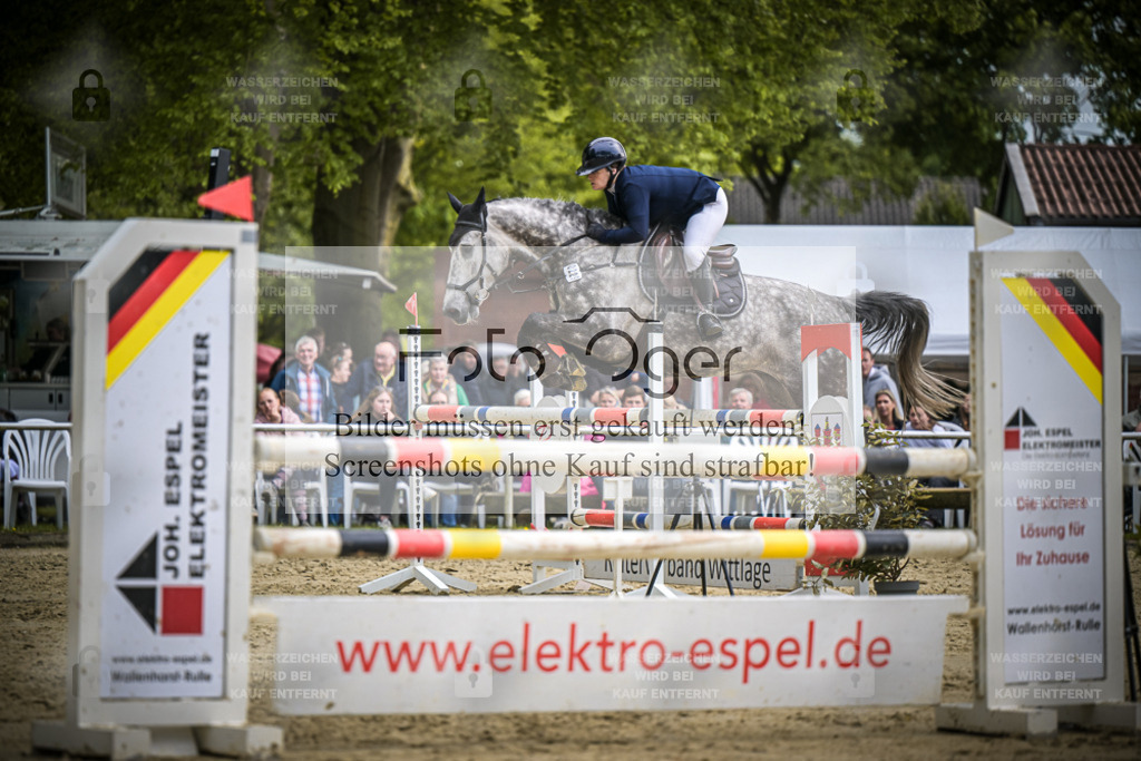 DOS_2393 | Entdecke hochwertige Reitturnierfotos von Foto Oger. Professionell, emotional und authentisch – jetzt Lieblingsmomente im Shop bestellen.Deutschlandweite Turnierfotografie. - Realisiert mit Pictrs.com