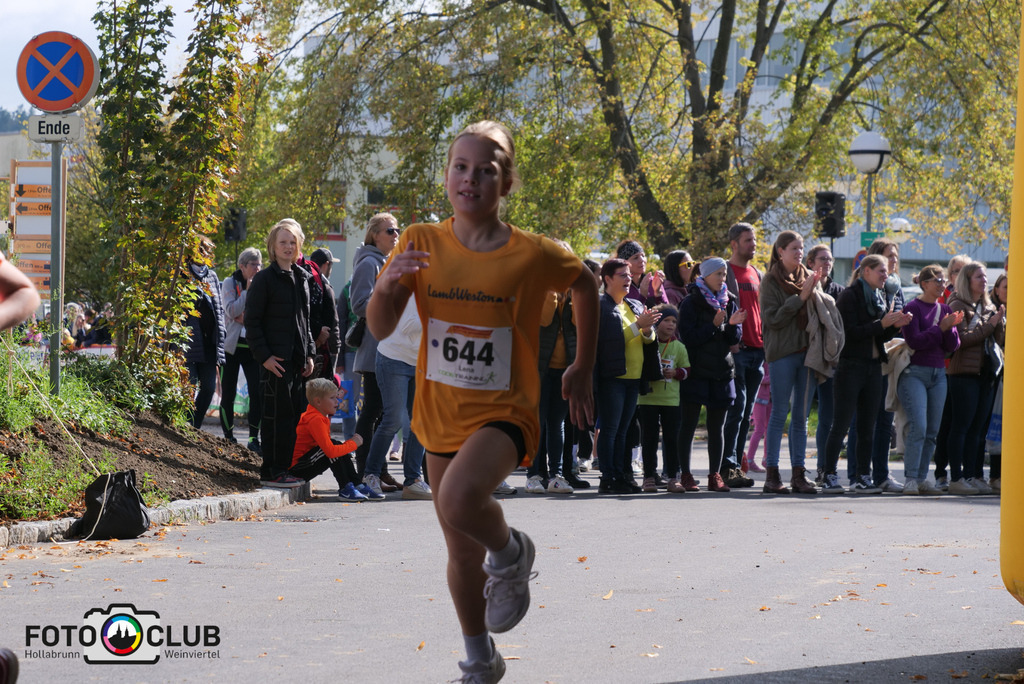 P1017515 | Foto Buchgraber