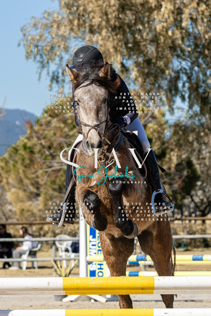 IMG_9493 | s-jay-photography - Realisiert mit Pictrs.com