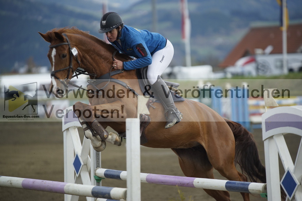 _DSC8048 | equestrian-live-com