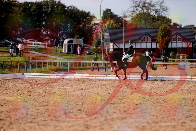 2026_10_03_Siefer-Hof_130850_Z81_62088349 | Professionelle Reitsport-, Turnier- und Eventfotografie von Robert Broda. Galerien mit ausgewählten und bearbeiteten Bildern direkt online ansehen und bestellen.