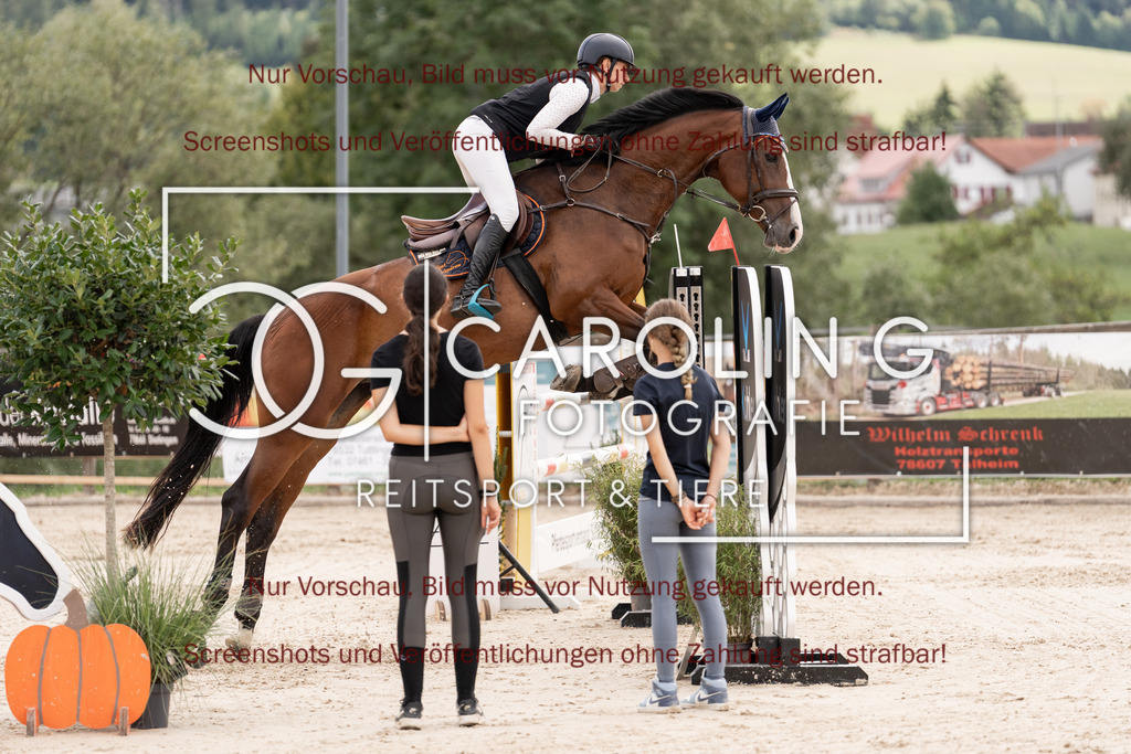 DSC06702 | Springturnier_Teamchallege_Talheim_2026, Celina_Heim, Uriah_5