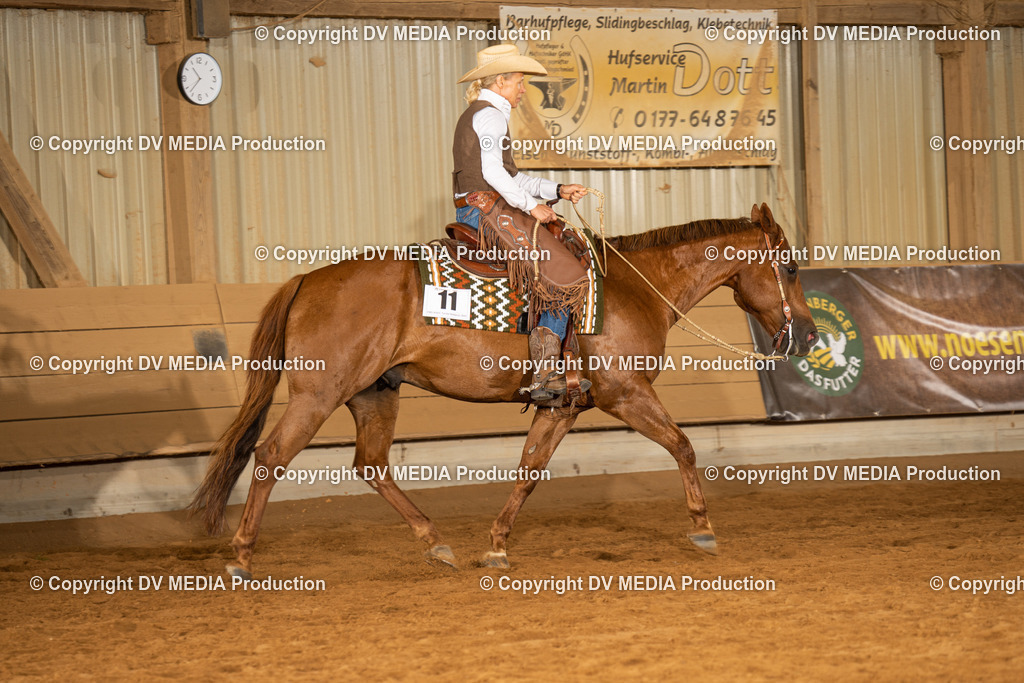 NID01453 | dv-media-shop - Realisiert mit Pictrs.com