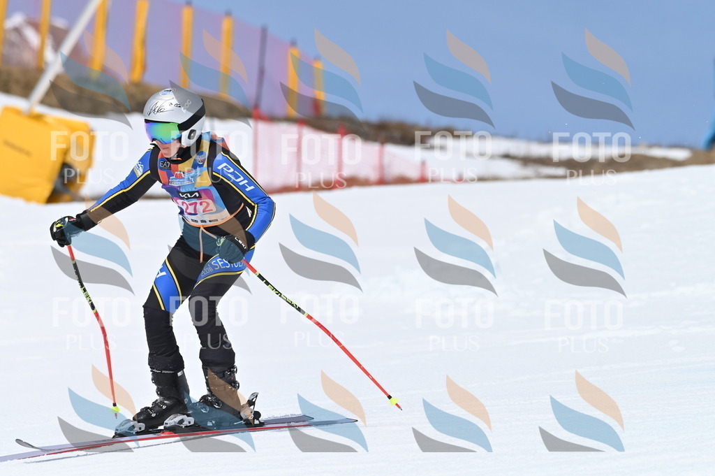 BGV_2301 | holidayphoto