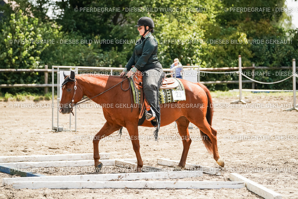 DSC06445 | Pferdegrafie