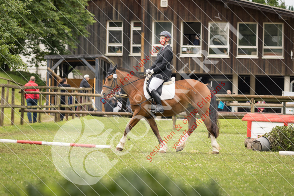 IMG_8375 | Sport-, Event- und Tierfotos in Profiqualität. Einfach auswählen, bestellen und herunterladen. Dein Moment – perfekt festgehalten.
