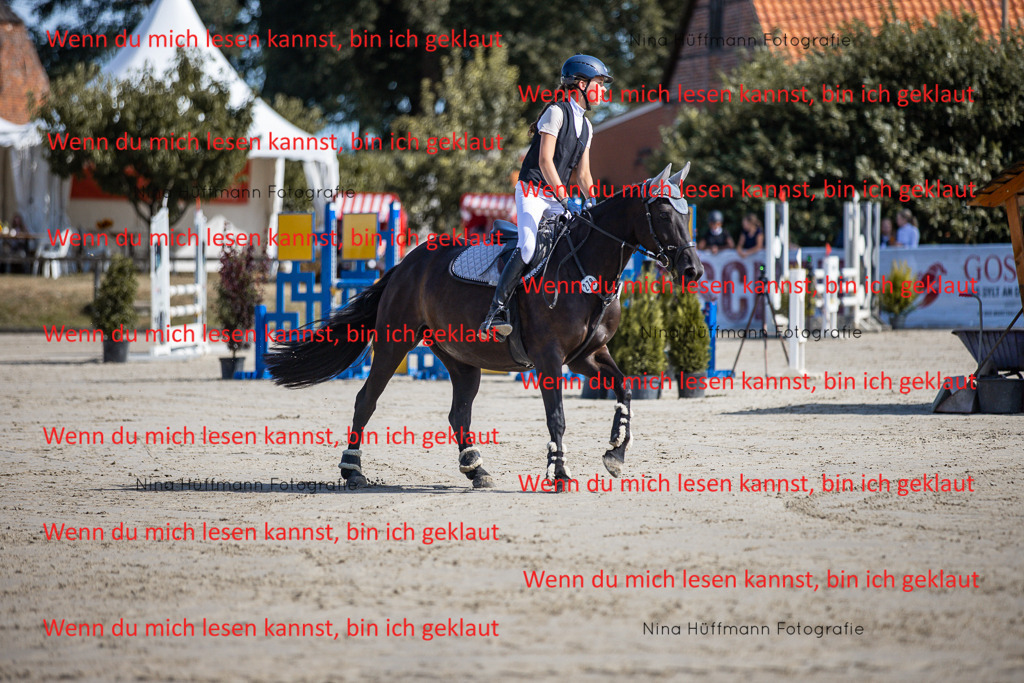 BK1A7009 | Turnierbilder Turnierfotos Nina Hüffmann Turnierfotografie Pferdefotografie Tierzeichnung Haustierzeichnung Pferdezeichnung Hundezeichnung Videograf  - Realisiert mit Pictrs.com