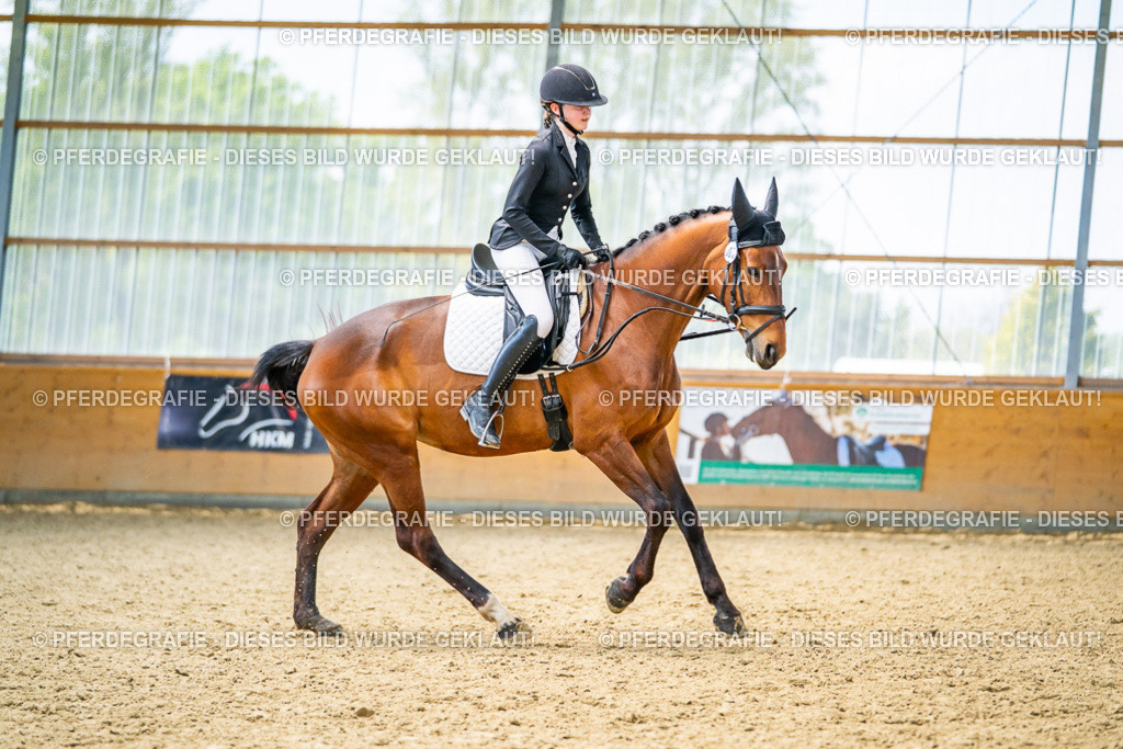 DSC04323 | Pferdegrafie