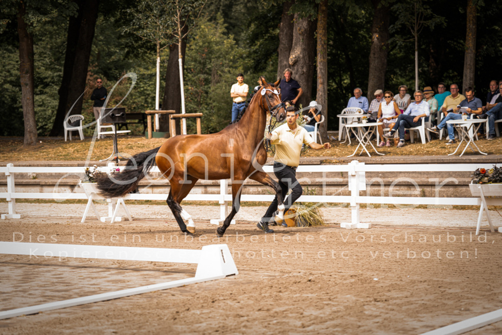 4.Fr00003 | Leoni Ertmer Photography - Realisiert mit Pictrs.com