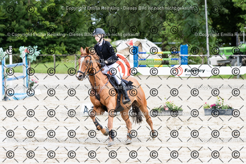 CL5A0928 | Emilia Reinking Fotografie - Realisiert mit Pictrs.com