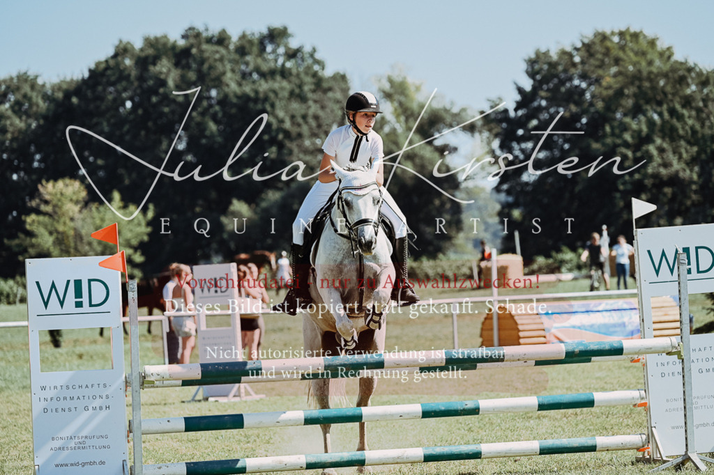 DSC_6072 | Pferde- und Turnierfotografie in Westsachsen. Pferdeportraits, Auftragszeichnungen und intuitive Kunst.