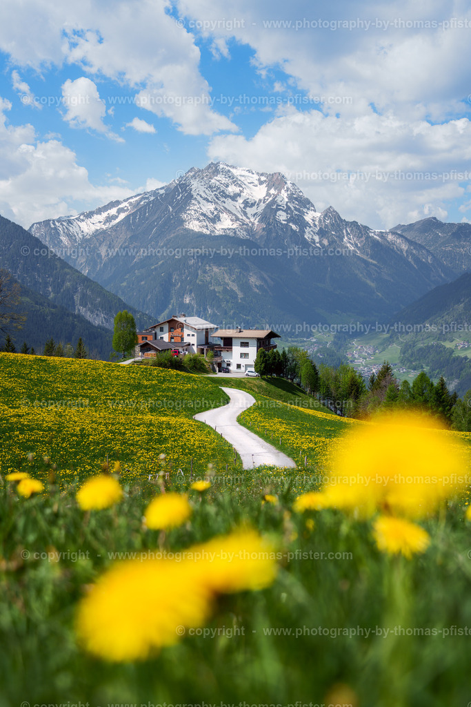  Steinerkogl Wanderung Frühling copyright  Thomas Pfister-6 | PHOTOGRAPHY BY THOMAS PFISTER
