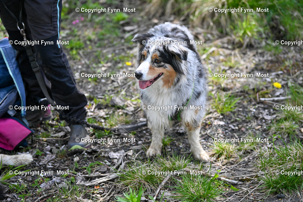 DSC_4878 | Hallo und herzlich Willkommen auf meiner Shop-Seite Fynn Most.

Ich wünsche Dir viel Spaß beim stöbern durch die Bilder, wenn Du Fragen hast oder Bilder vermisst, kannst du mir gerne eine Nachricht schreiben. - Realisiert mit Pictrs.com