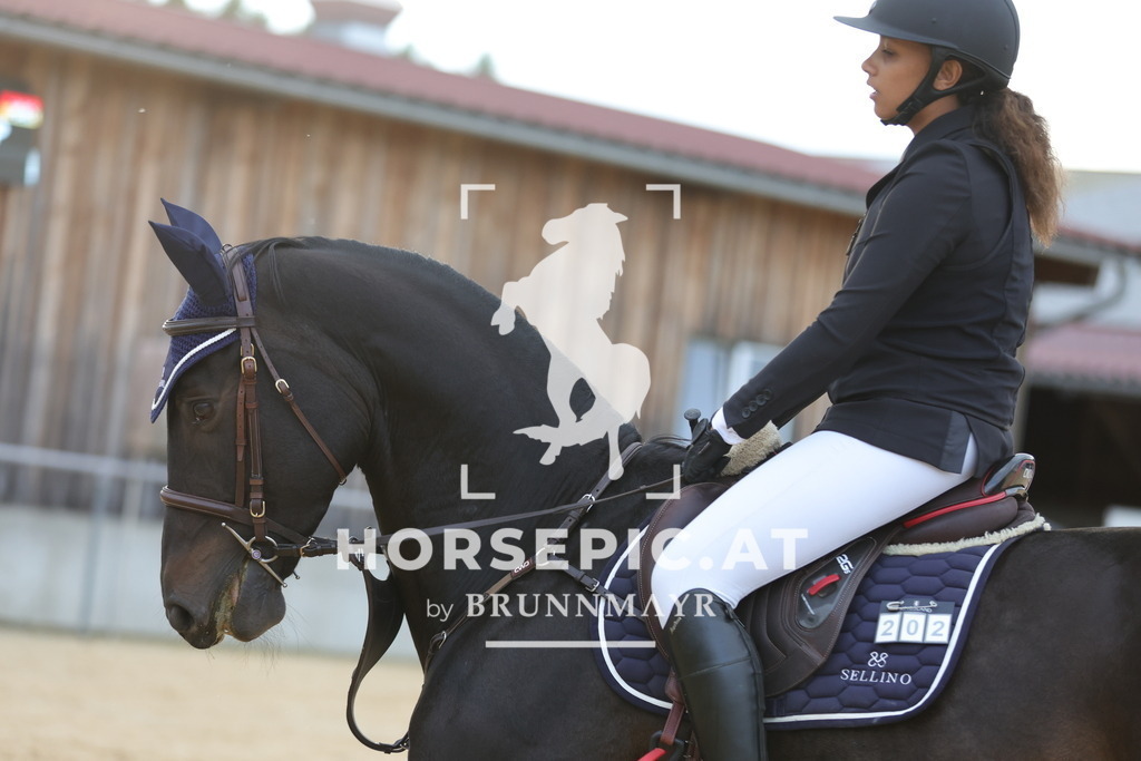 0P6A0129 | Willkommen bei Brunnmayr - Design & Fotografie – Ihrem Spezialisten für Reitturniere und Pferdeveranstaltungen in Oberösterreich, Salzburg und Bayern! Seit über 17 Jahren sind wir leidenschaftlich dabei.