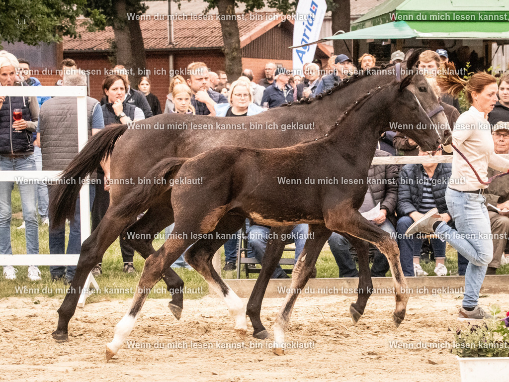 A10I1658 | photographylinaismer - Realisiert mit Pictrs.com