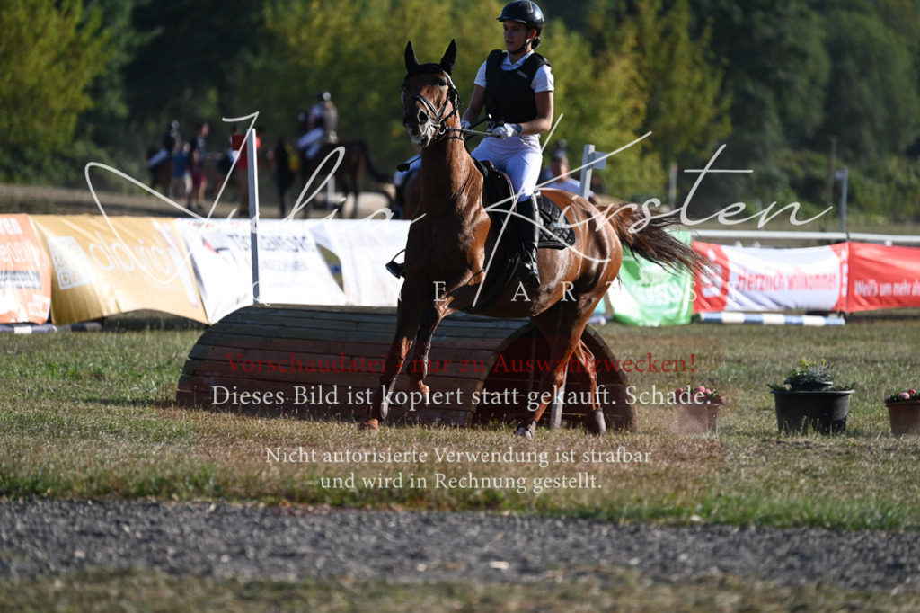 DSC_9045 | Pferde- und Turnierfotografie in Westsachsen. Pferdeportraits, Auftragszeichnungen und intuitive Kunst.