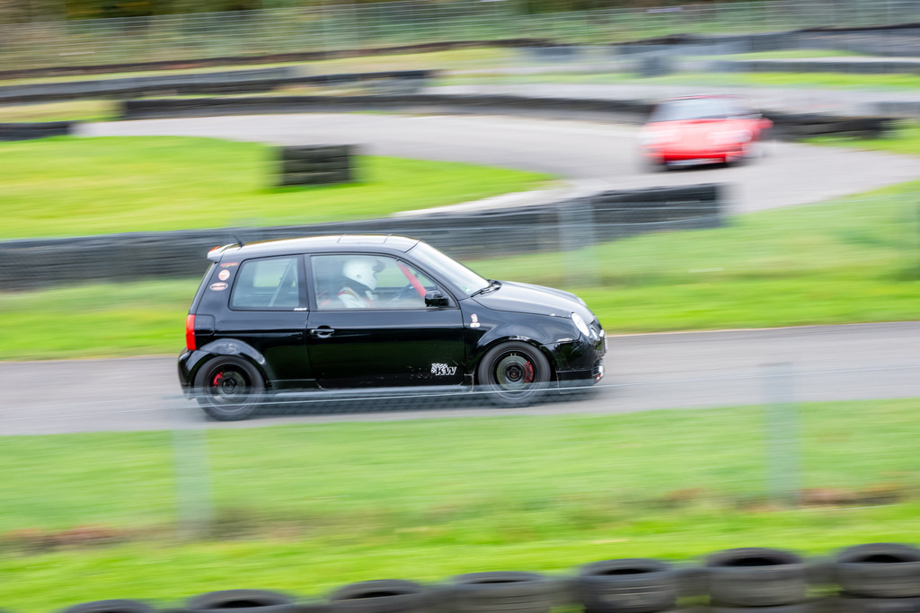 Teningen_2025-167 | Bernd Kohlen - Fotograf | Bilder / Prints kaufen | Landschaften, Sport, Reportagen, Events, Hochzeiten, wedding, Tiere u.v.m. - Realisiert mit Pictrs.com