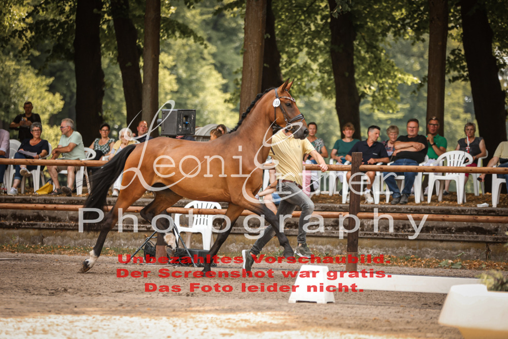 Do2.R00010 | Leoni Ertmer Photography - Realisiert mit Pictrs.com
