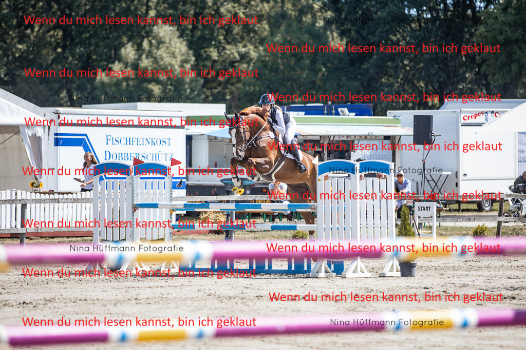 BK1A6368 | Turnierbilder Turnierfotos Nina Hüffmann Turnierfotografie Pferdefotografie Tierzeichnung Haustierzeichnung Pferdezeichnung Hundezeichnung Videograf  - Realisiert mit Pictrs.com