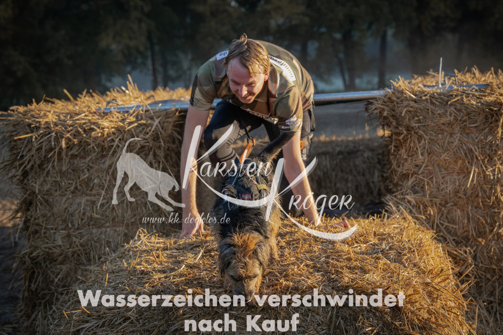 0900_ZZ90494 | kk-dogfotos