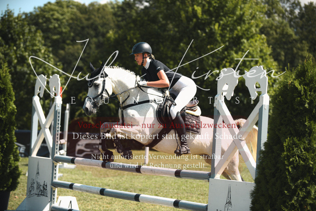 DSC_6542 | Pferde- und Turnierfotografie in Westsachsen. Pferdeportraits, Auftragszeichnungen und intuitive Kunst.