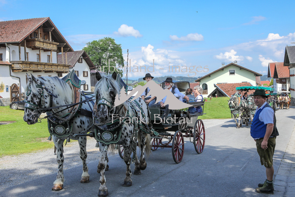 OE7A9557 | Medien- Sport- Entertainmentfotos