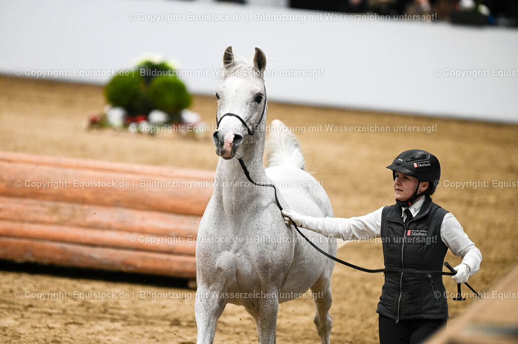 20260307_Hengstvorstellung-Marbach_0433 | equistock
