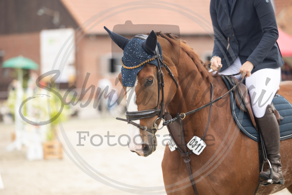 994A9435 | sabrinanicolaifotografie - Realisiert mit Pictrs.com