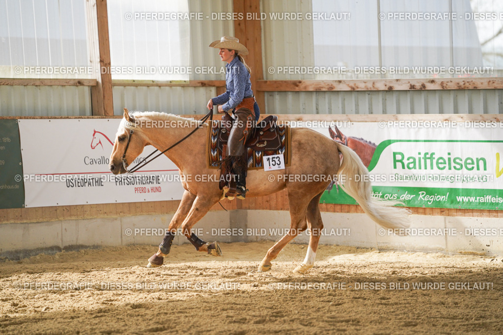 DSC05920 | Pferdegrafie