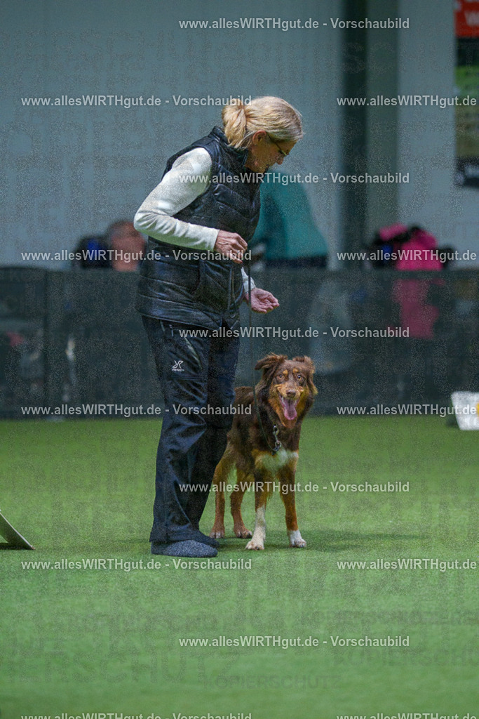 7R501374 | Professionelle Tierfotografie in Mönchengladbach von Daniel Wirth (allesWIRTHgut). Liebevolle & natürliche Bilder von Hunden & Katzen für unvergessliche Erinnerungen.