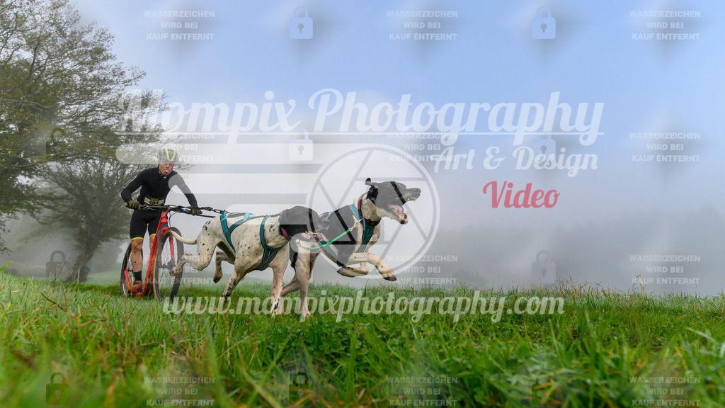 MompixPhotography_20TSB_E5_DS2-4 | PayLife