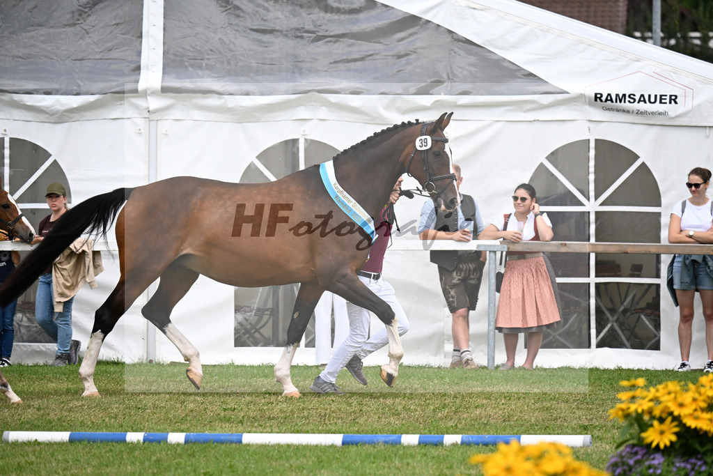 Kat-Nr. 39 Coeur de la Baviere v. Cornets Prinz_Fischer_30250993 | hf-fotografie - Realizzato con Pictrs.com
