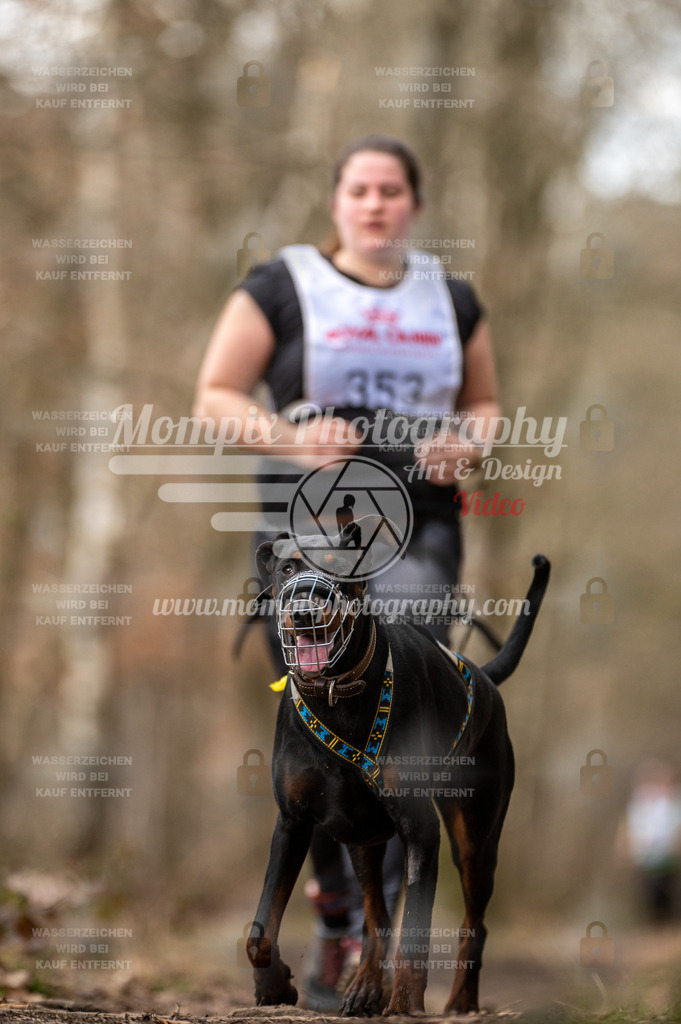 SPA_2023_SAM_CCK-267 | PayLife