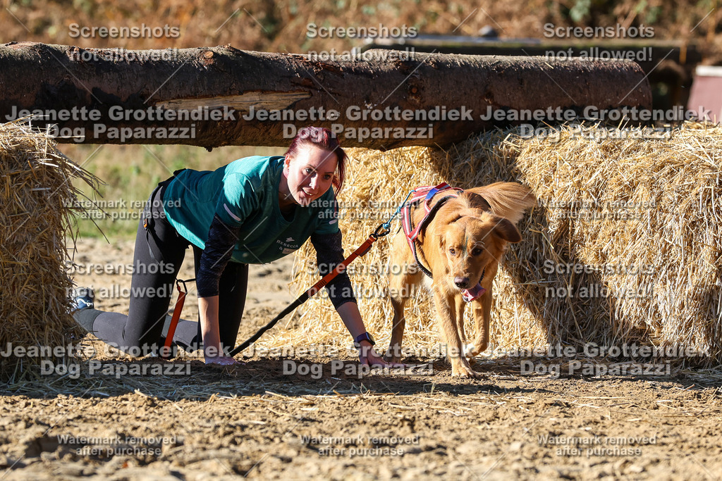 Dog Paparazzi - Strongdog 10-25-2706 | Dog Paparazzi Jeanette Grottendiek Fotografie & Videografie - Realisiert mit Pictrs.com