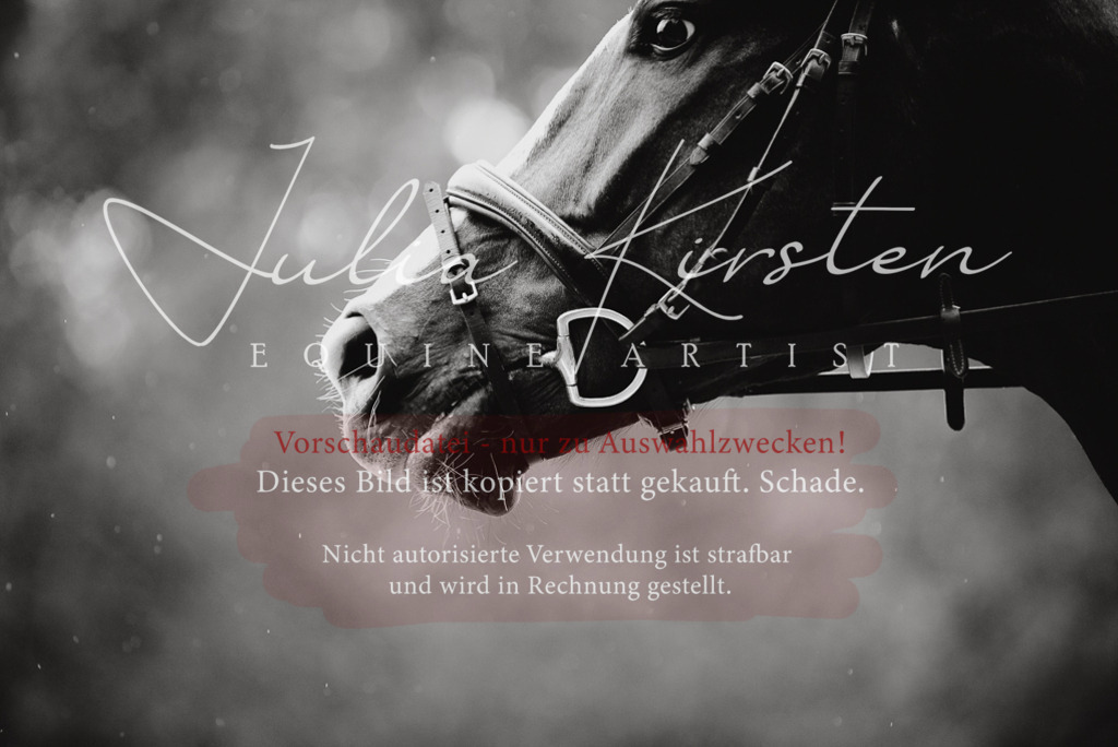 DSC_9753 | Pferde- und Turnierfotografie in Westsachsen. Pferdeportraits, Auftragszeichnungen und intuitive Kunst.