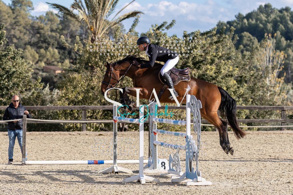 IMG_0369 | s-jay-photography - Realisiert mit Pictrs.com