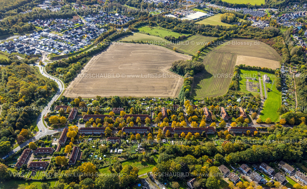 Hamm241008668 | Luftbild, Bergarbeitersiedlung Wohnsiedlung Vogelsang, Wiesen und Felder und herbstliche Bäume, Stadtbezirk Heessen, Hamm, Ruhrgebiet, Nordrhein-Westfalen, Deutschland