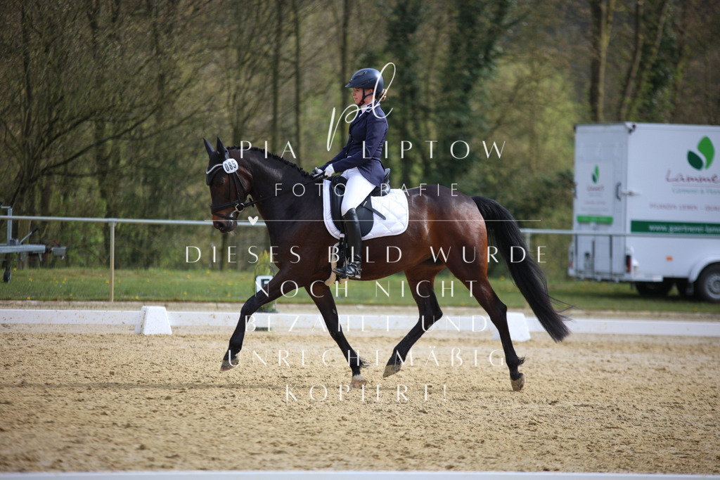 IMGT6120 | pl-fotografie