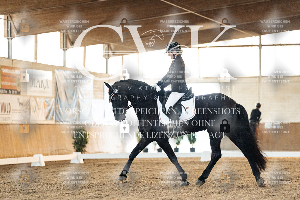 CK906531 | Turnierfotografie Pferdefotografie Trier Rheinland-Pfalz Pferdesport Reitsport Tierfotografie Sportfotografie Pferdevideo Pferdevideografie Equestrianvideography equestrianphotography  - Realisiert mit Pictrs.com