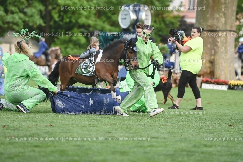 20230526_Pferdenacht_0469 | equistock