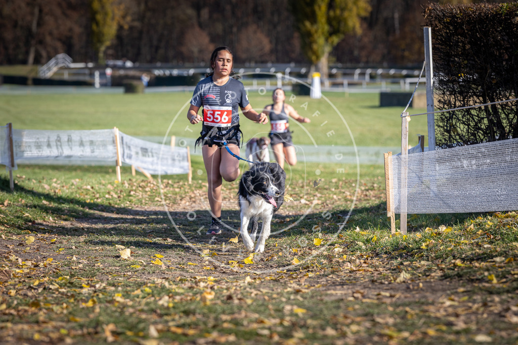 CaniXpix_DV3A8594 | Hundefotografie, Tierfotograf, Pfotenfotografie, Fotoshooting Hund, Hunde Portrait, Hundesport, Hundeportraits, Heideshooting, Hunde, Sportfotograf, Hundefotograf, Turnierhundsport, THS,  - Realisiert mit Pictrs.com